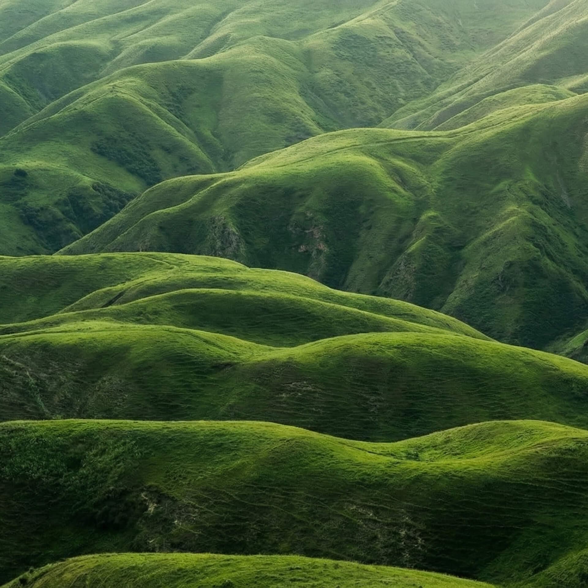 Northframe — visual 1